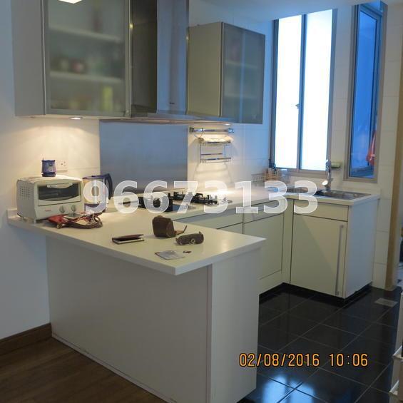 Cairnhill Crest (D9), Condominium #126596032